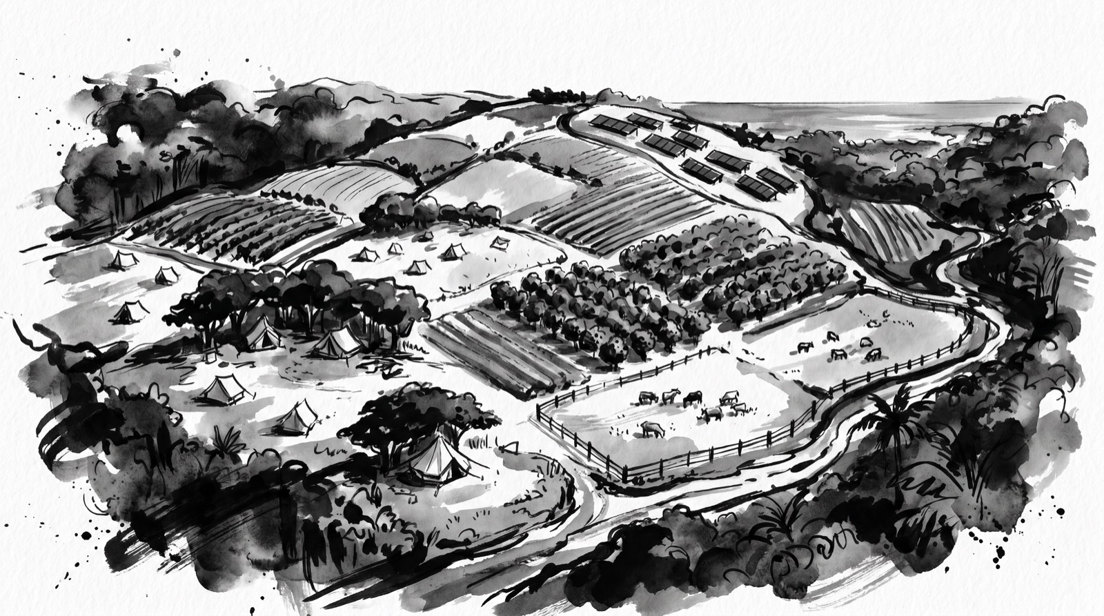 Illustrated aerial view of the Sultry Acres estate